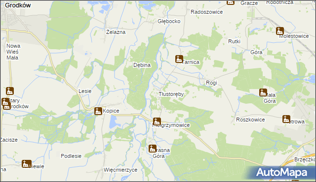 mapa Tłustoręby, Tłustoręby na mapie Targeo