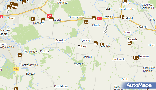 mapa Tokary gmina Praszka, Tokary gmina Praszka na mapie Targeo