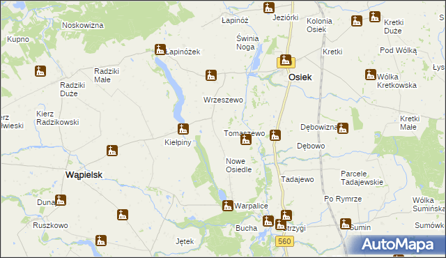 mapa Tomaszewo gmina Osiek, Tomaszewo gmina Osiek na mapie Targeo