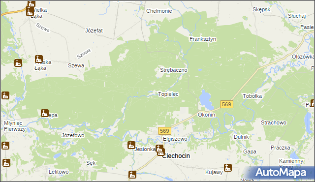 mapa Topielec, Topielec na mapie Targeo