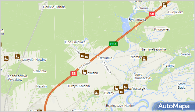 mapa Trzcianka gmina Brańszczyk, Trzcianka gmina Brańszczyk na mapie Targeo