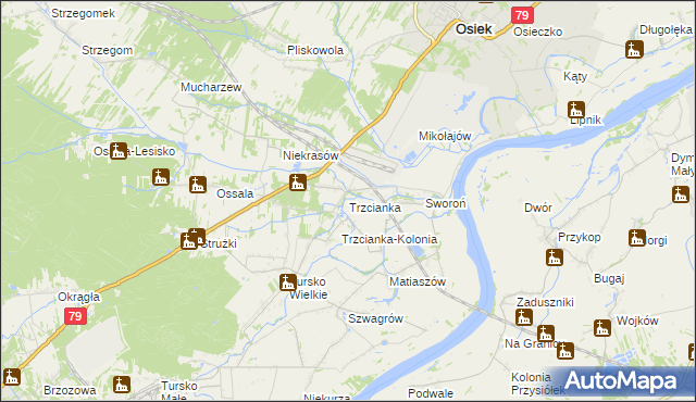 mapa Trzcianka gmina Osiek, Trzcianka gmina Osiek na mapie Targeo