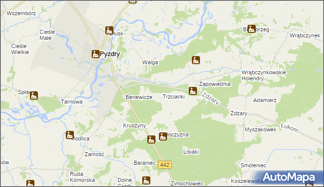 mapa Trzcianki gmina Pyzdry, Trzcianki gmina Pyzdry na mapie Targeo