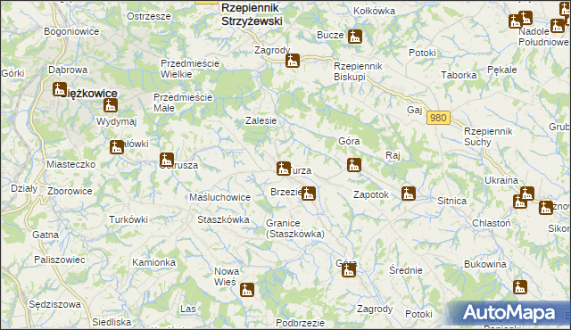 mapa Turza gmina Rzepiennik Strzyżewski, Turza gmina Rzepiennik Strzyżewski na mapie Targeo