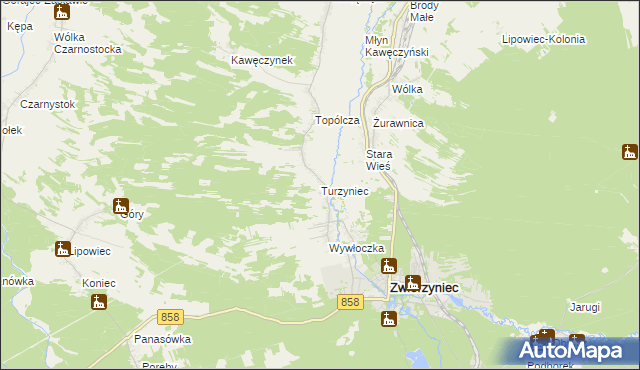 mapa Turzyniec gmina Zwierzyniec, Turzyniec gmina Zwierzyniec na mapie Targeo