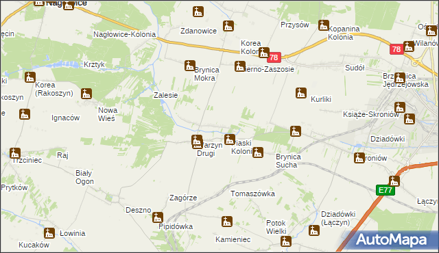 mapa Warzyn Pierwszy, Warzyn Pierwszy na mapie Targeo