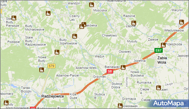 mapa Wężyk, Wężyk na mapie Targeo