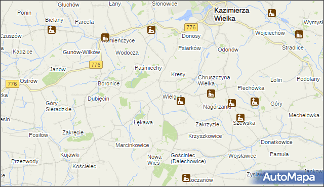 mapa Wielgus, Wielgus na mapie Targeo