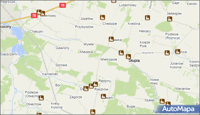 mapa Wielkopole gmina Słupia, Wielkopole gmina Słupia na mapie Targeo