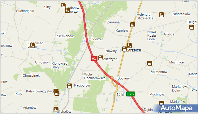 mapa Wieszczyce gmina Strzelce, Wieszczyce gmina Strzelce na mapie Targeo