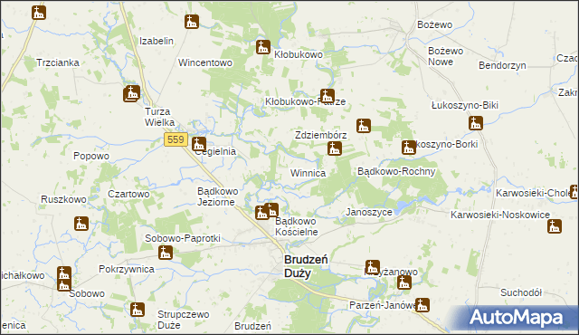 mapa Winnica gmina Brudzeń Duży, Winnica gmina Brudzeń Duży na mapie Targeo