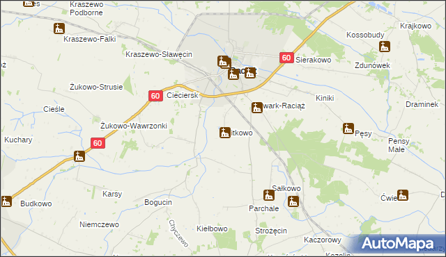 mapa Witkowo gmina Raciąż, Witkowo gmina Raciąż na mapie Targeo