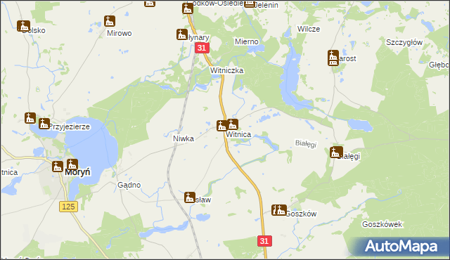 mapa Witnica gmina Moryń, Witnica gmina Moryń na mapie Targeo