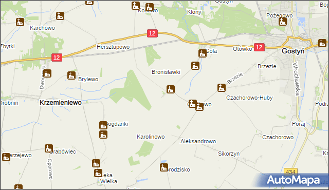 mapa Witoldowo gmina Gostyń, Witoldowo gmina Gostyń na mapie Targeo