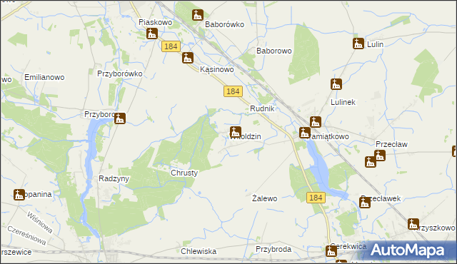 mapa Witoldzin gmina Szamotuły, Witoldzin gmina Szamotuły na mapie Targeo