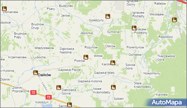 mapa Witów gmina Dalików, Witów gmina Dalików na mapie Targeo