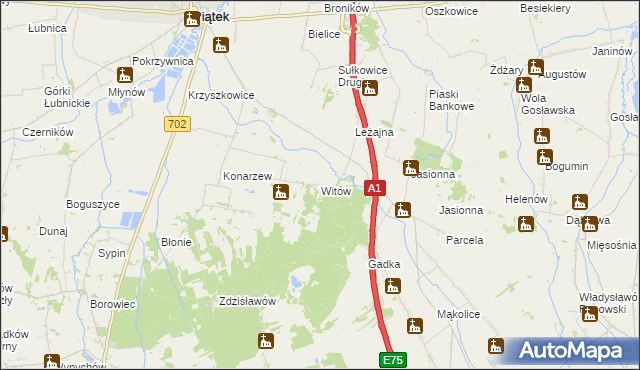 mapa Witów gmina Piątek, Witów gmina Piątek na mapie Targeo