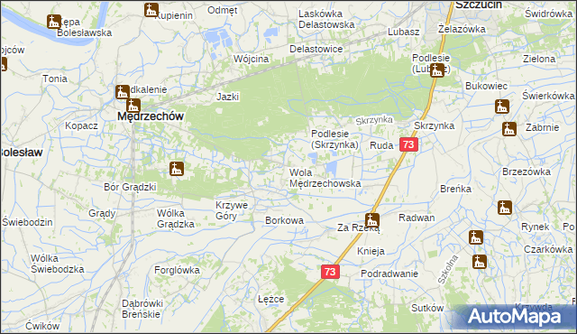 mapa Wola Mędrzechowska, Wola Mędrzechowska na mapie Targeo