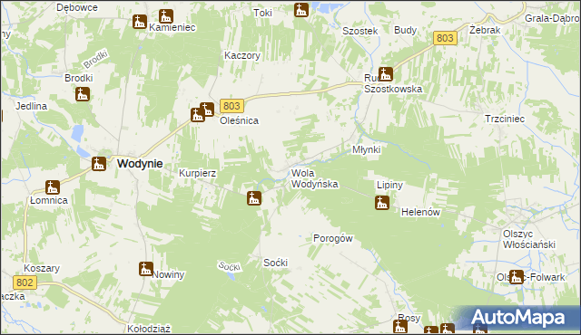 mapa Wola Wodyńska, Wola Wodyńska na mapie Targeo