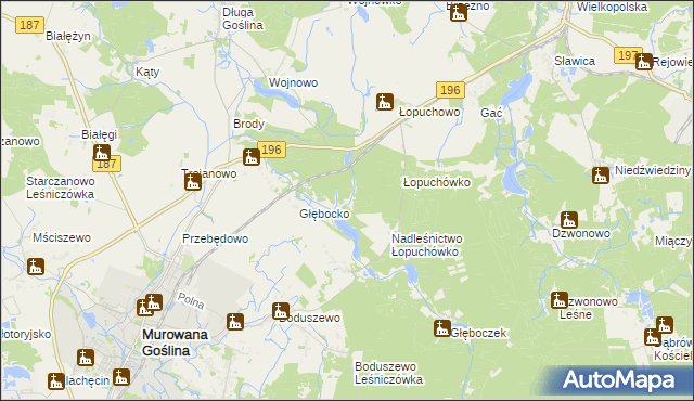 mapa Worowo gmina Murowana Goślina, Worowo gmina Murowana Goślina na mapie Targeo