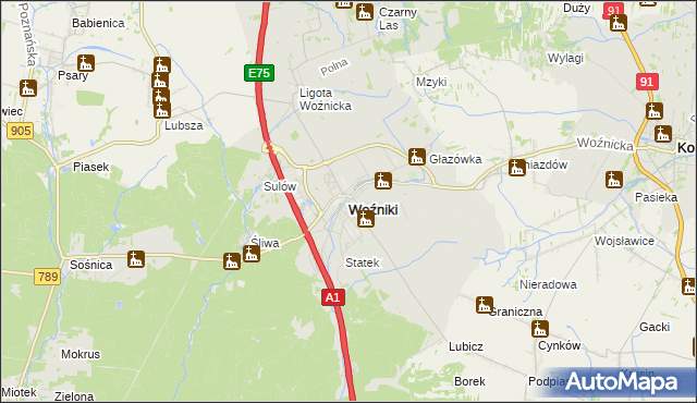 mapa Woźniki powiat lubliniecki, Woźniki powiat lubliniecki na mapie Targeo