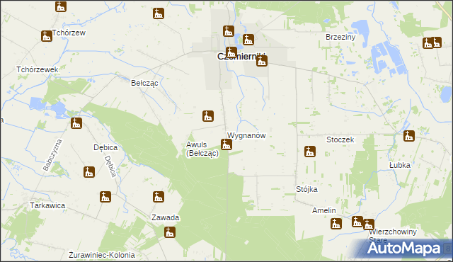 mapa Wygnanów gmina Czemierniki, Wygnanów gmina Czemierniki na mapie Targeo