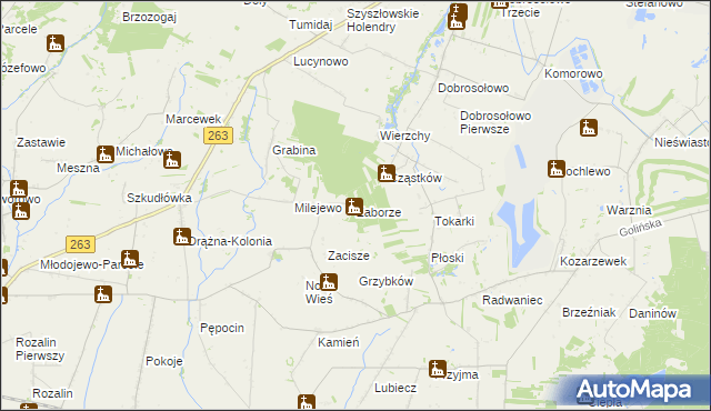 mapa Zaborze gmina Słupca, Zaborze gmina Słupca na mapie Targeo