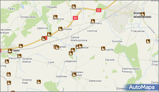 mapa Zalesie gmina Borek Wielkopolski, Zalesie gmina Borek Wielkopolski na mapie Targeo