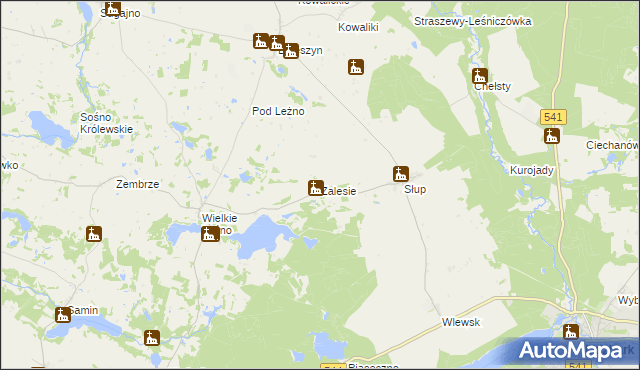 mapa Zalesie gmina Lidzbark, Zalesie gmina Lidzbark na mapie Targeo