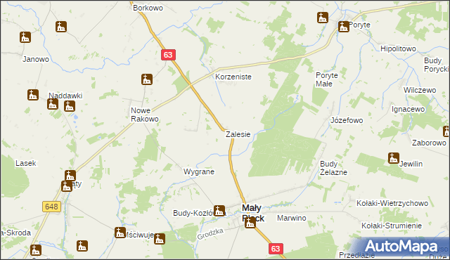 mapa Zalesie gmina Mały Płock, Zalesie gmina Mały Płock na mapie Targeo