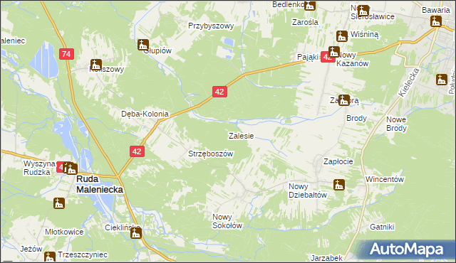 mapa Zalesie gmina Ruda Maleniecka, Zalesie gmina Ruda Maleniecka na mapie Targeo