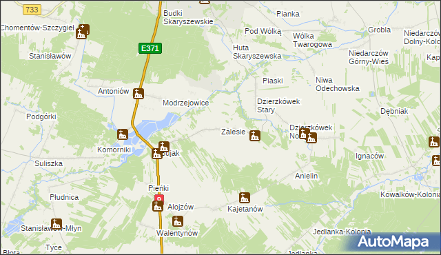 mapa Zalesie gmina Skaryszew, Zalesie gmina Skaryszew na mapie Targeo