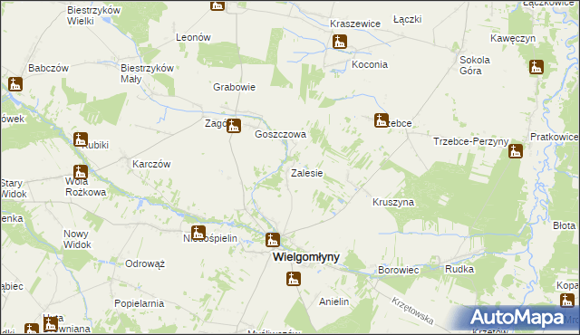 mapa Zalesie gmina Wielgomłyny, Zalesie gmina Wielgomłyny na mapie Targeo