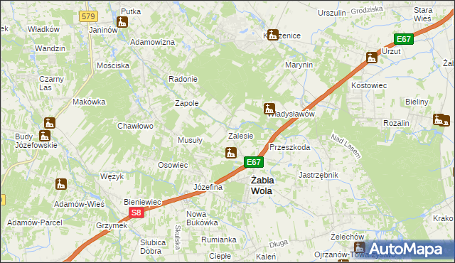 mapa Zalesie gmina Żabia Wola, Zalesie gmina Żabia Wola na mapie Targeo