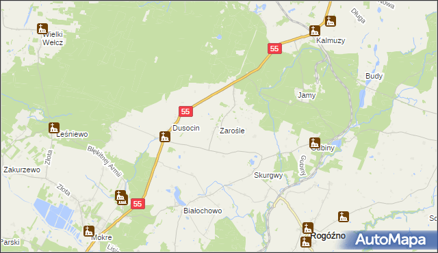 mapa Zarośle gmina Rogóźno, Zarośle gmina Rogóźno na mapie Targeo