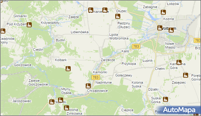 mapa Zarzecze gmina Wolbrom, Zarzecze gmina Wolbrom na mapie Targeo