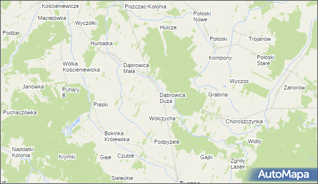 mapa Dąbrowica Duża gmina Tuczna, Dąbrowica Duża gmina Tuczna na mapie Targeo