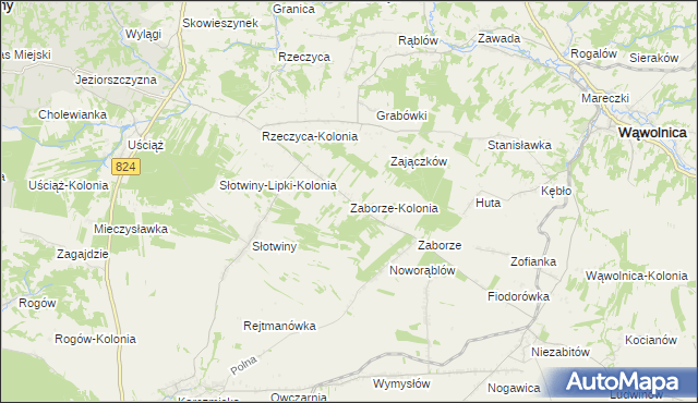 mapa Zaborze-Kolonia, Zaborze-Kolonia na mapie Targeo