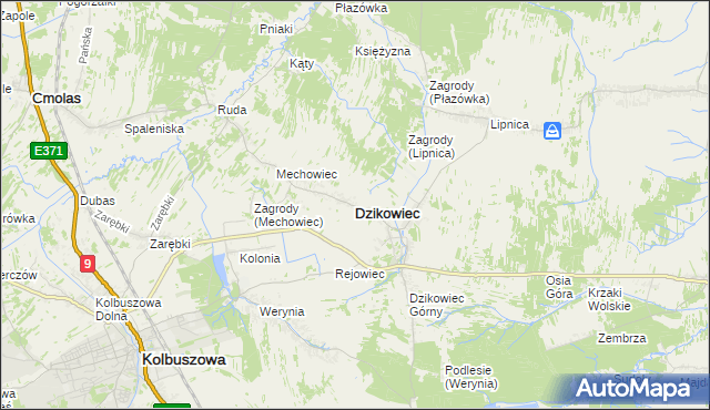 mapa Dzikowiec powiat kolbuszowski, Dzikowiec powiat kolbuszowski na mapie Targeo