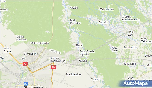 mapa Ruda gmina Skierniewice, Ruda gmina Skierniewice na mapie Targeo