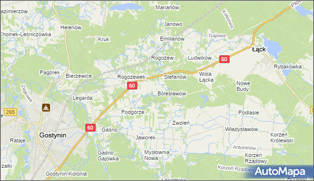 mapa Bolesławów gmina Gostynin, Bolesławów gmina Gostynin na mapie Targeo