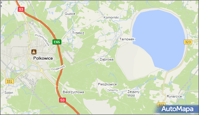 mapa Dąbrowa gmina Polkowice, Dąbrowa gmina Polkowice na mapie Targeo