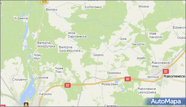 mapa Głodno gmina Rakoniewice, Głodno gmina Rakoniewice na mapie Targeo