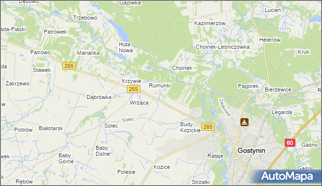 mapa Nagodów gmina Gostynin, Nagodów gmina Gostynin na mapie Targeo