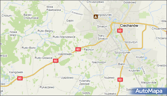 mapa Pęchcin, Pęchcin na mapie Targeo