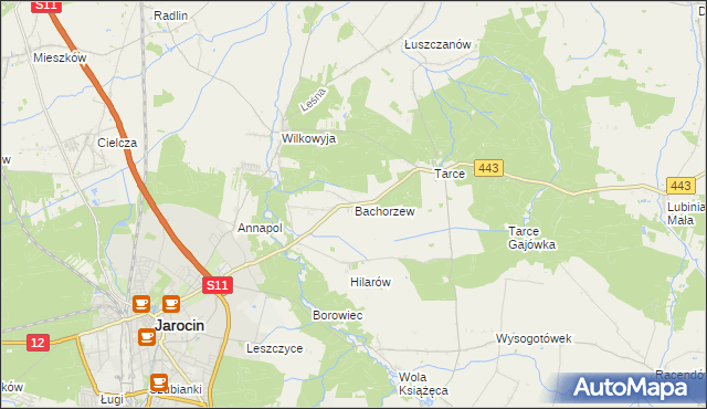 mapa Bachorzew, Bachorzew na mapie Targeo