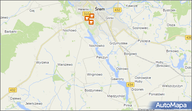 mapa Pełczyn gmina Śrem, Pełczyn gmina Śrem na mapie Targeo