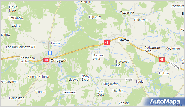 mapa Borowa Wola, Borowa Wola na mapie Targeo