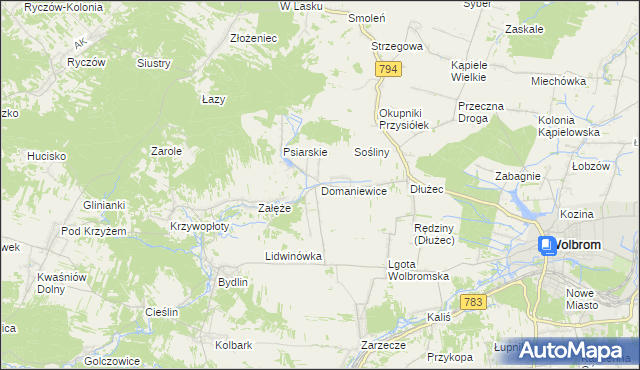 mapa Domaniewice gmina Wolbrom, Domaniewice gmina Wolbrom na mapie Targeo