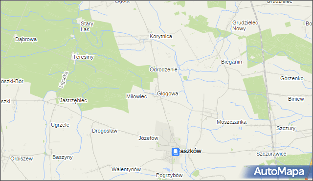 mapa Głogowa gmina Raszków, Głogowa gmina Raszków na mapie Targeo